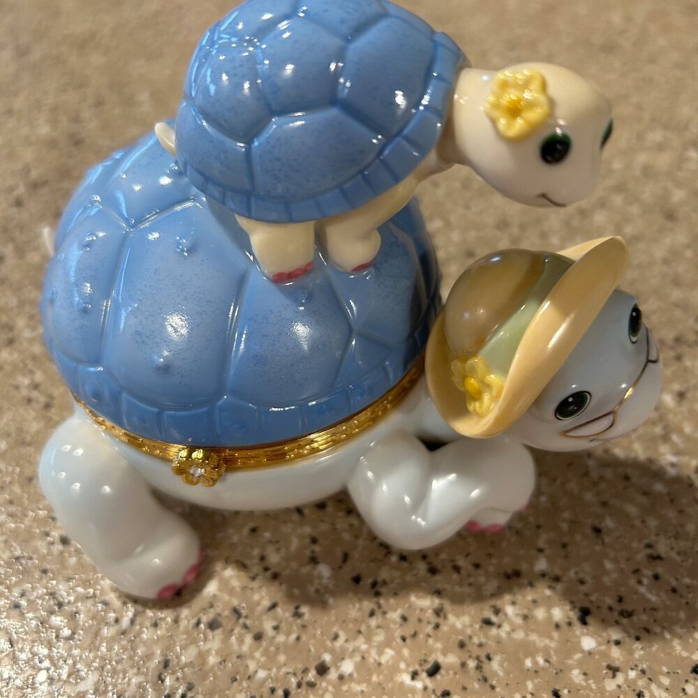 Turtle Jewelry box Collection